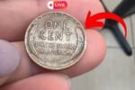 How a 10-Year-Old Found a Lincoln Penny That Changed His Family’s Life